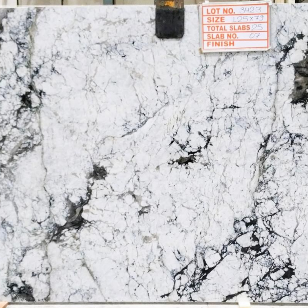 Mountain Shell Quartzite (124 x 78)